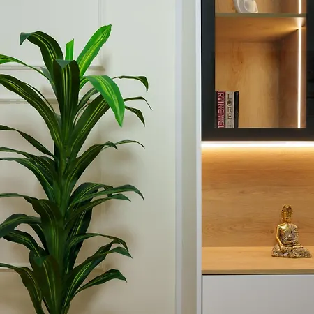 Jora Luxury Tirane * Kashari