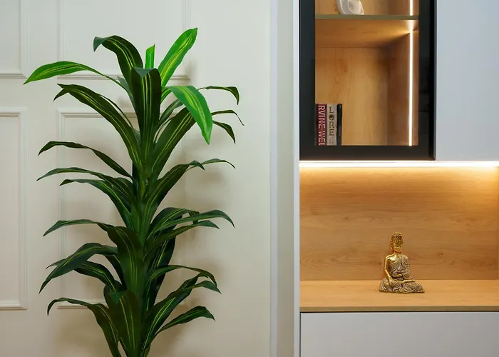 Jora Luxury Tirane * Kashari